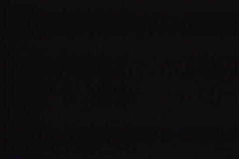 D736mL073r51980