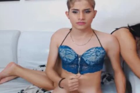 Ladyboy sale plaît à chacun les bites et trous des autres.