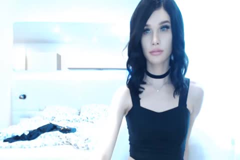 Ladyboy desprezível