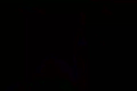Sex im Zug