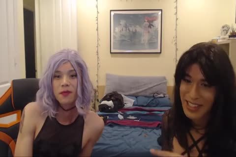 CD drills CD web camera