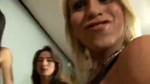 Trans-Orgie drei