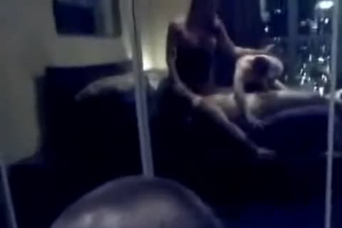 trío de chica transgénero