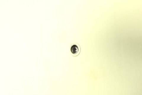 Elisa mit einem tätowierten GG!