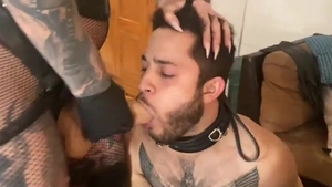 skank goddess, Transexual, And bondman