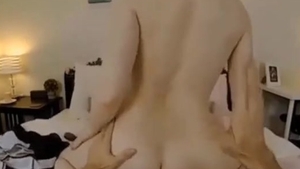 wild sheboy Pov pound