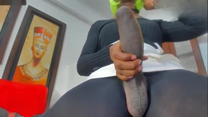 Masturbating Shemales in Fishnet Stockings