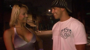 Trans Harder: Purple Passion Takes Over