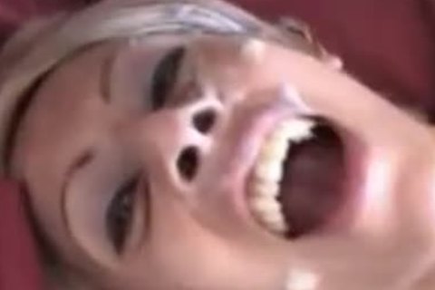 excellent shelady wazoo Satisfaction